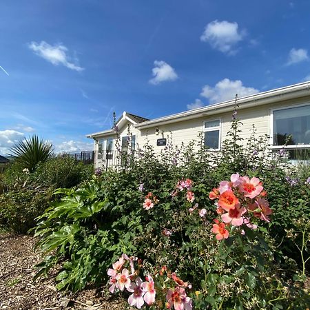 East Kitcham Lodge Launceston Esterno foto