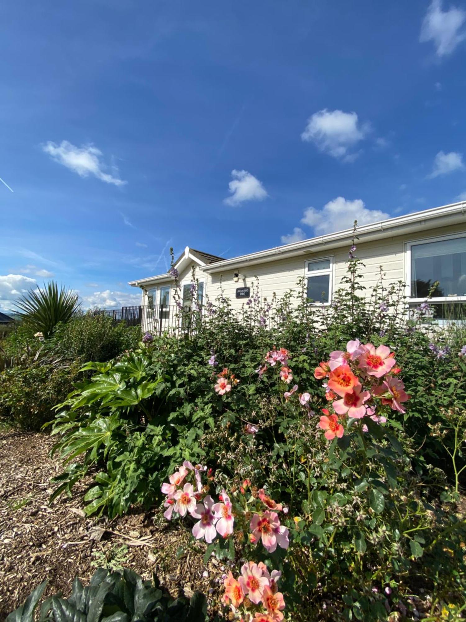 East Kitcham Lodge Launceston Esterno foto